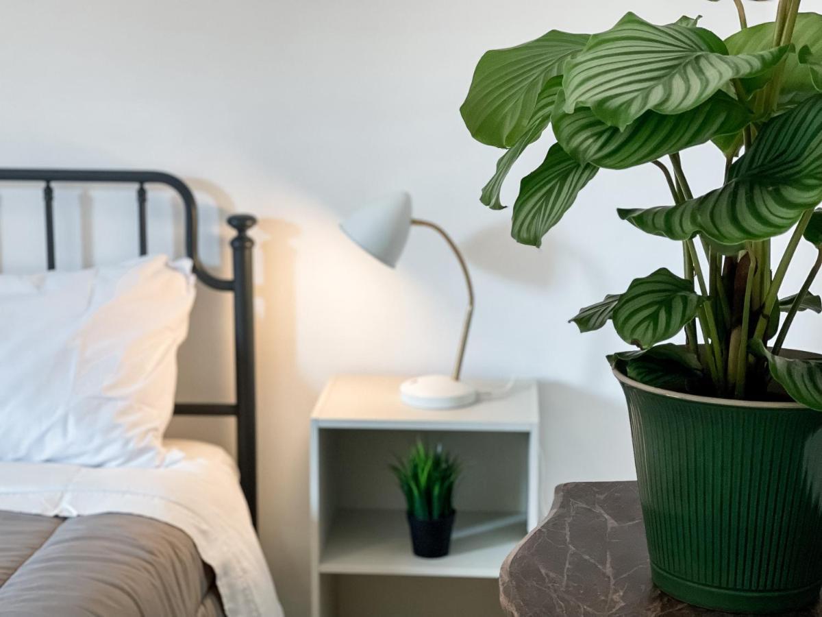 Apartament Sestio House Rzym Zewnętrze zdjęcie